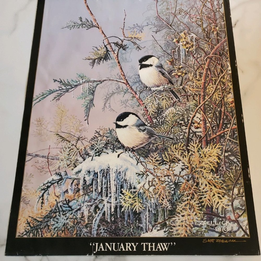 JANUARY THAW Chickadee Poster by Scott Zoellick